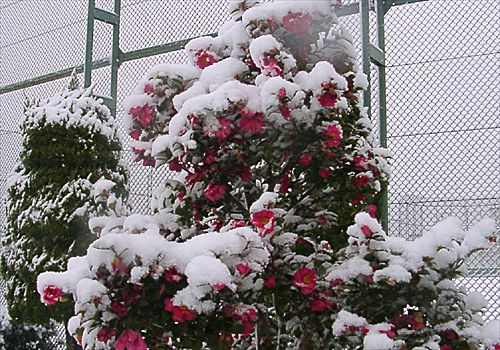 ���᡼�� 4