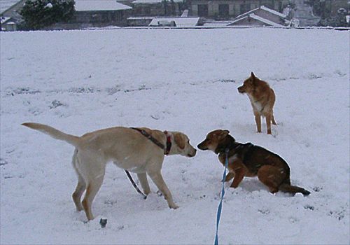 ���᡼�� 5