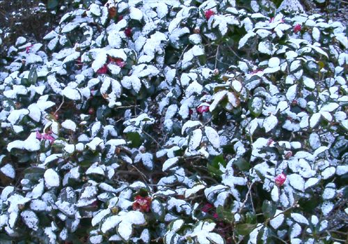 ���᡼�� 2