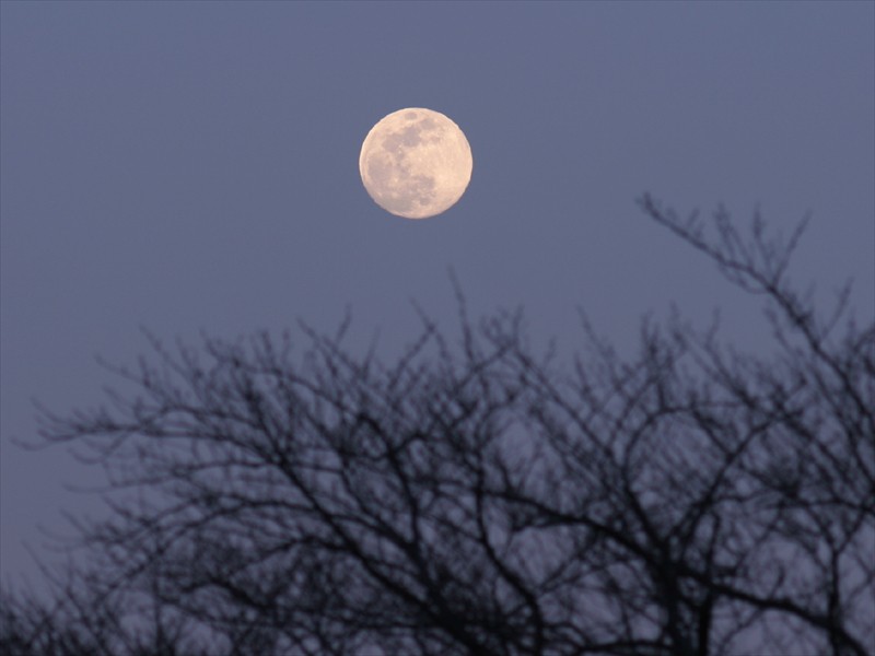 ���᡼�� 1