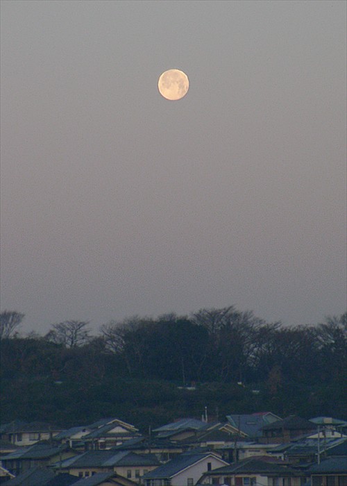 ���᡼�� 1