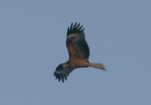 ���᡼�� 1