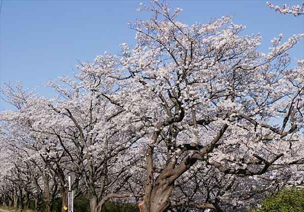 ���᡼�� 1