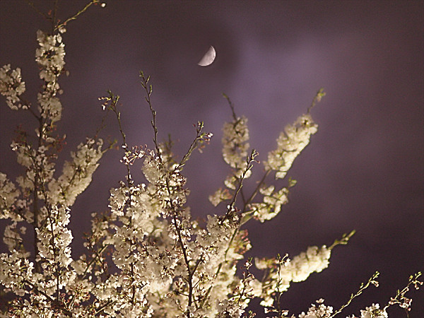 ���᡼�� 1