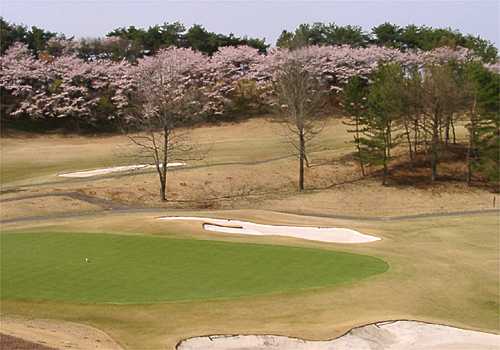 ���᡼�� 1