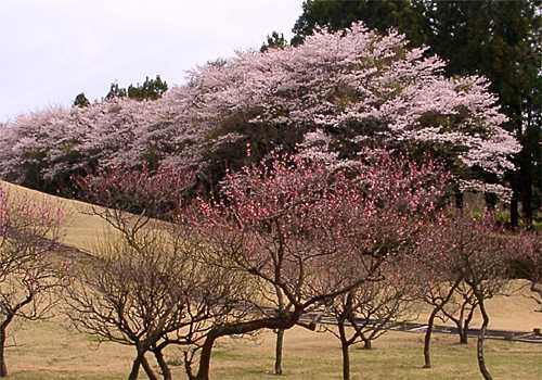 ���᡼�� 2