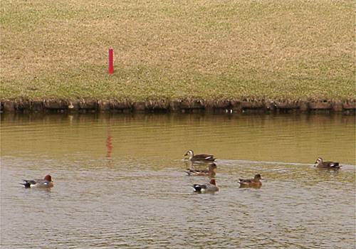 ���᡼�� 3