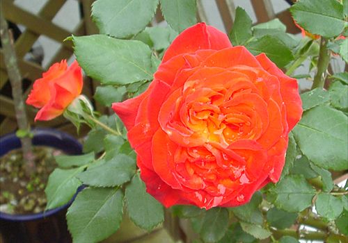 ���᡼�� 1