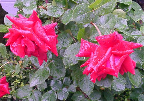 ���᡼�� 3