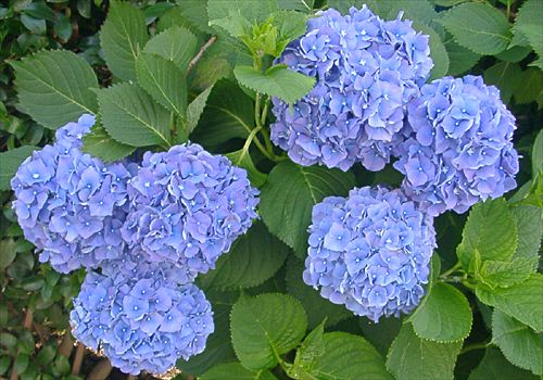 ���᡼�� 1