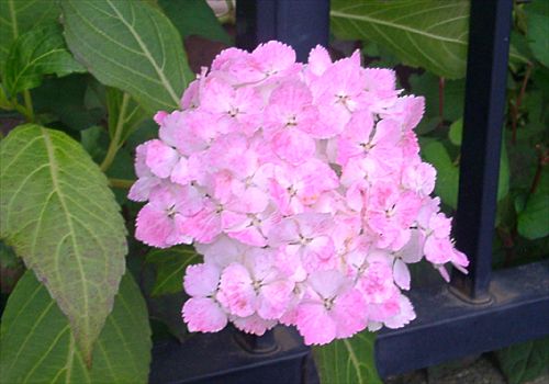 ���᡼�� 3