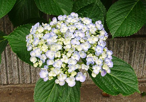 ���᡼�� 5