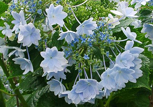 ���᡼�� 6