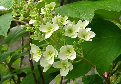 ���᡼�� 7