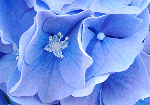 ���᡼�� 9