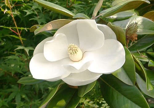 ���᡼�� 1