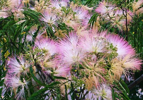 ���᡼�� 3