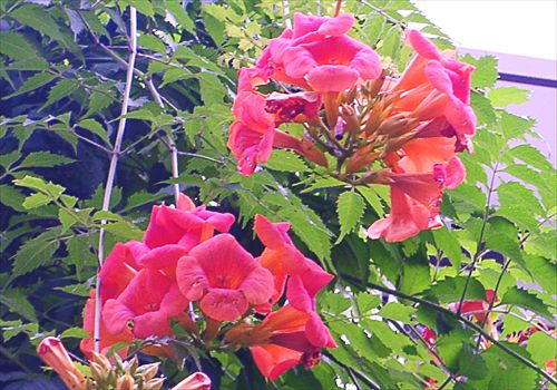 ���᡼�� 5