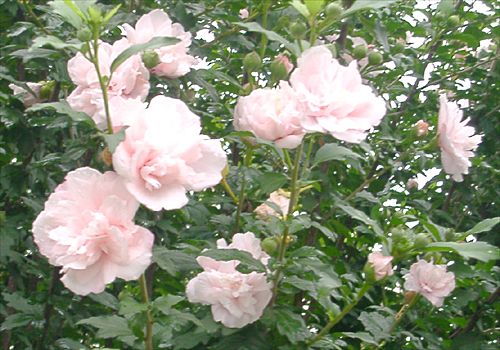 ���᡼�� 9