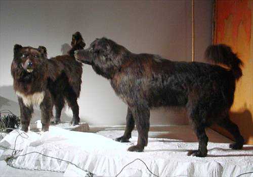 ���᡼�� 4