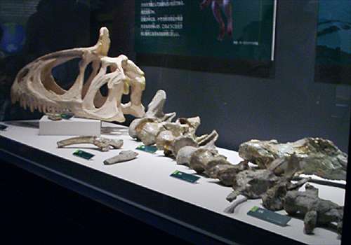 ���᡼�� 5