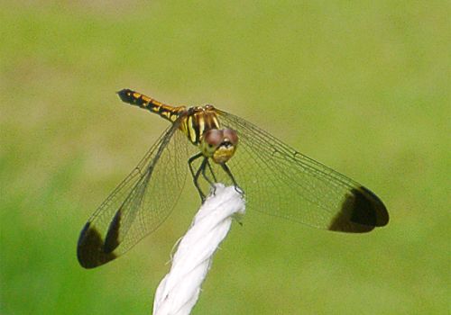 ���᡼�� 2