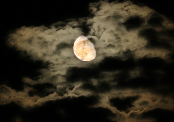 ���᡼�� 1