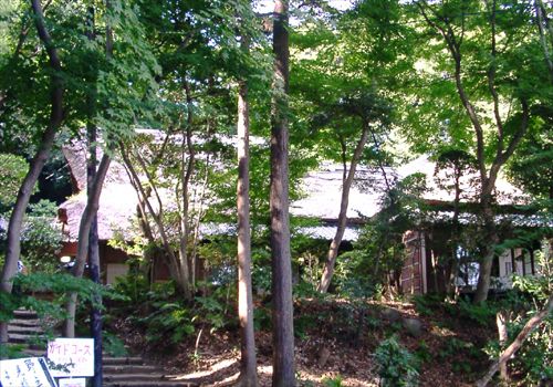 ���᡼�� 2