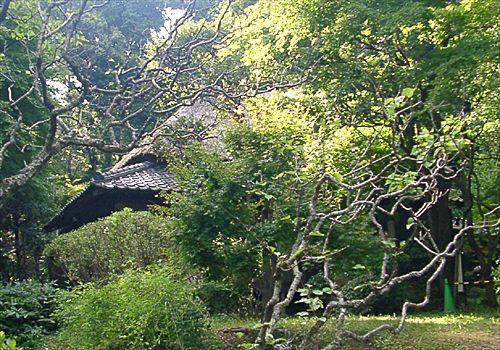 ���᡼�� 3