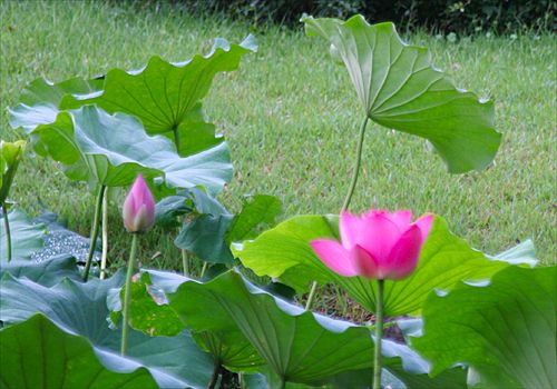 ���᡼�� 3