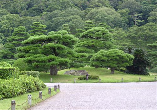 ���᡼�� 9