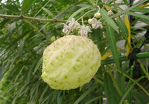 ���᡼�� 3