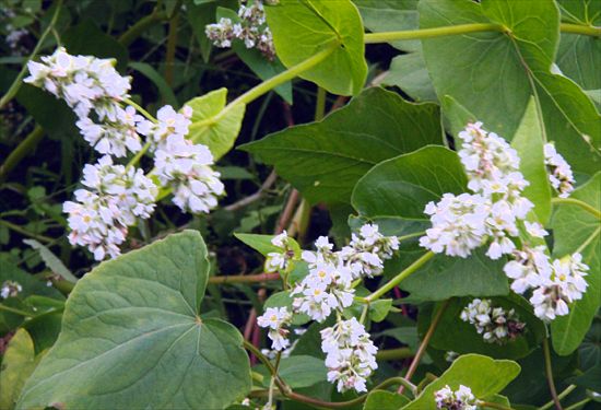 ���᡼�� 3