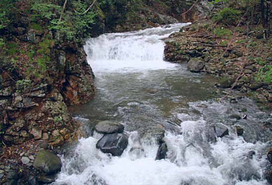 ���᡼�� 5