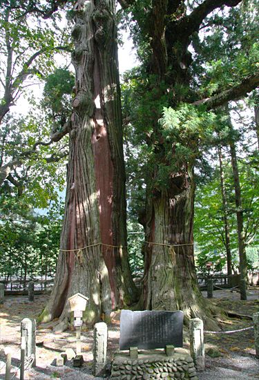 ���᡼�� 2