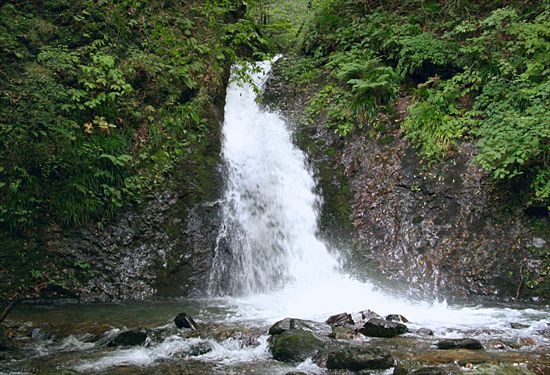 ���᡼�� 4