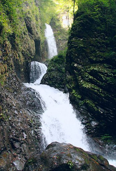 ���᡼�� 5