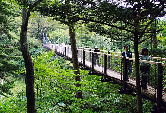 ���᡼�� 7