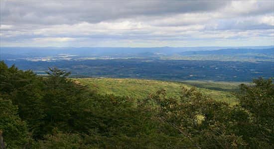 ���᡼�� 10