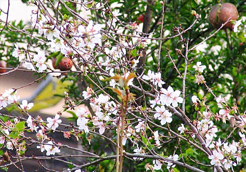 ���᡼�� 1