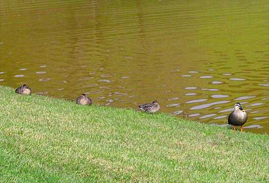 ���᡼�� 3