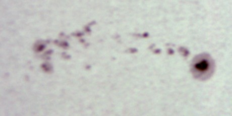 ���᡼�� 2