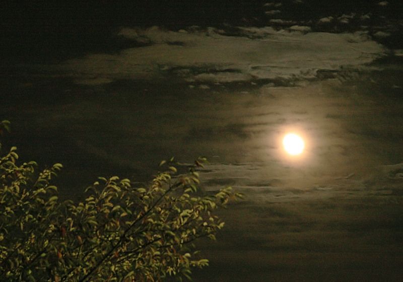 ���᡼�� 3