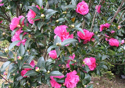 ���᡼�� 1