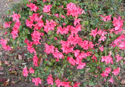 ���᡼�� 2