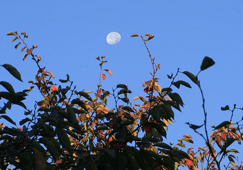 ���᡼�� 3