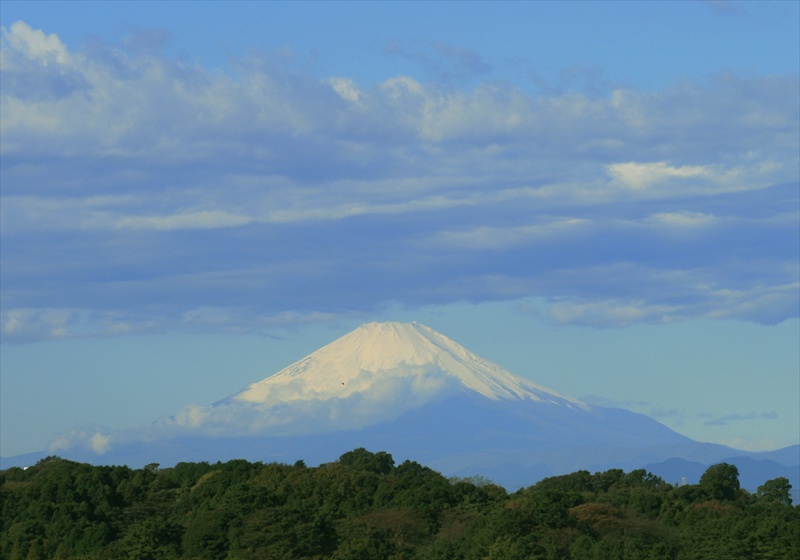 ���᡼�� 1