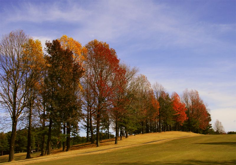 ���᡼�� 1