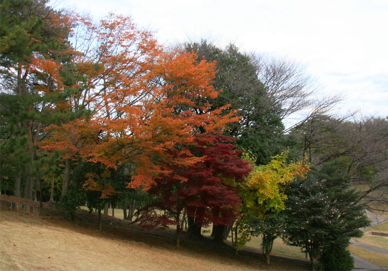 ���᡼�� 2