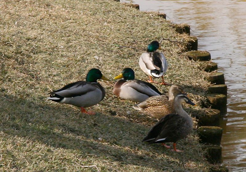 ���᡼�� 3